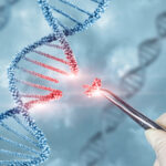 High-Velocity Development: Gene Therapy Vs. Small Molecule